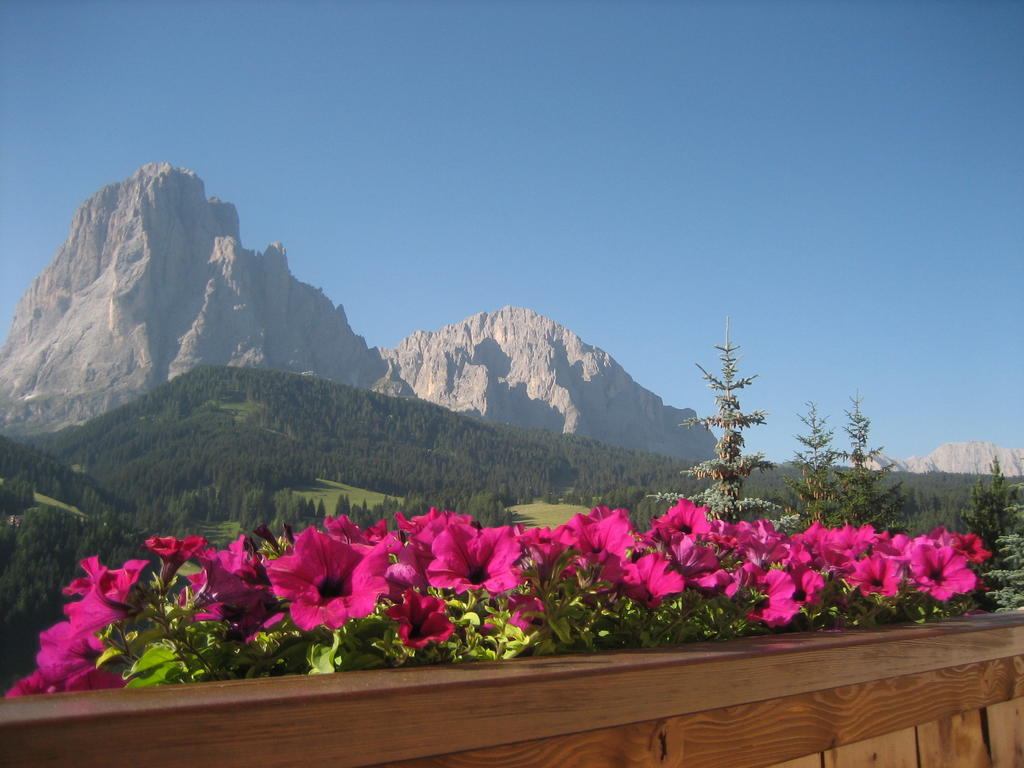 Apartments Etruska Santa Cristina Val Gardena Værelse billede